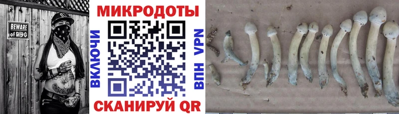 Купить где  Ульяновск  Галлюциногенные грибы Psilocybine cubensis 